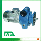 Mechanical variators WM