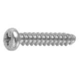 21020100 - Stainless(+) Pan head Tapping Screw(2-B-0)