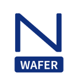 Wafer check valve