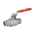Modèle 58153 - 2 pieces ball valve - Male / male BSPT - Full bore - Lockable handle - Stainless steel 316