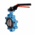 Modèle 58453 - Butterfly valve with threaded holes - GJS500-7 cast iron body - CF8M stainless steel butterfly - FKM gasket
