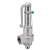 Modèle 58929 - Safety valve PN40 with bellows and ducted exhaust for liquids and gases, with lever - Stainless steel 1.4571 - 1.4308