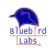 Bluebird Labs