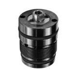 screw-in cylinder with direct connection up to 200 bar - E200