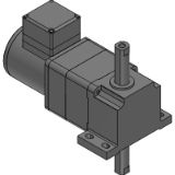 Linear Head and Motor Combination