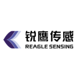 Reagle Sensing
