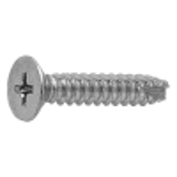 21000001 - Steel(+) Counter sunk Tapping Screw(2 with slot, B-1)