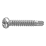 21020520 - Stainless(+-) Pan head Tapping Screw(2guide, BRP)